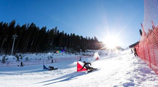 ОИ-2018. Сноуборд. Прогноз на параллельный гигантский слалом 24.02.2018