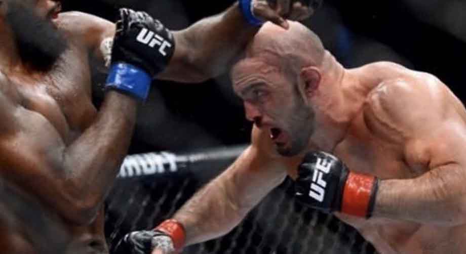 UFC в Стокгольме. Оздемир - Латифи. Прогноз и ставки на бой 01.06.2019