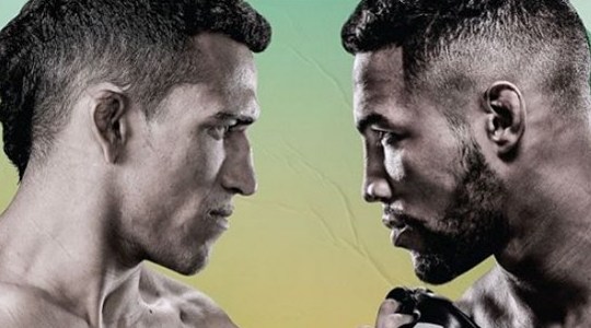 UFC в Бразилии. Прогноз и ставки на турнир 15.03.2020